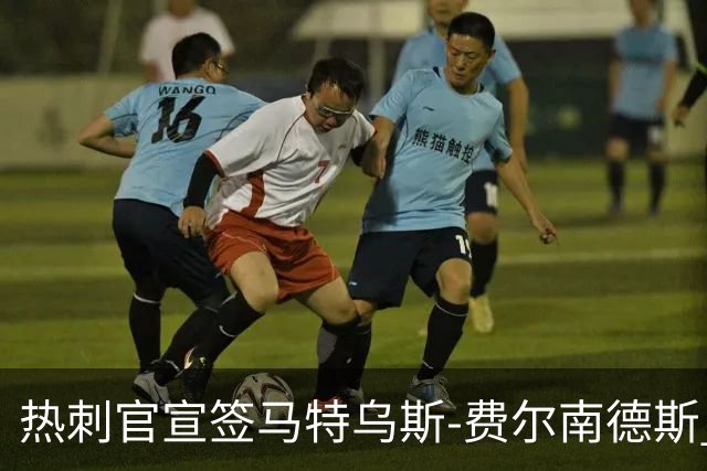 热刺官宣签马特乌斯-费尔南德斯 转会费8500万镑破纪录